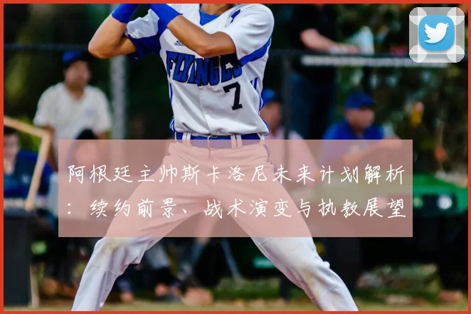 阿根廷主帅斯卡洛尼未来计划解析：续约前景、战术演变与执教展望深度探讨